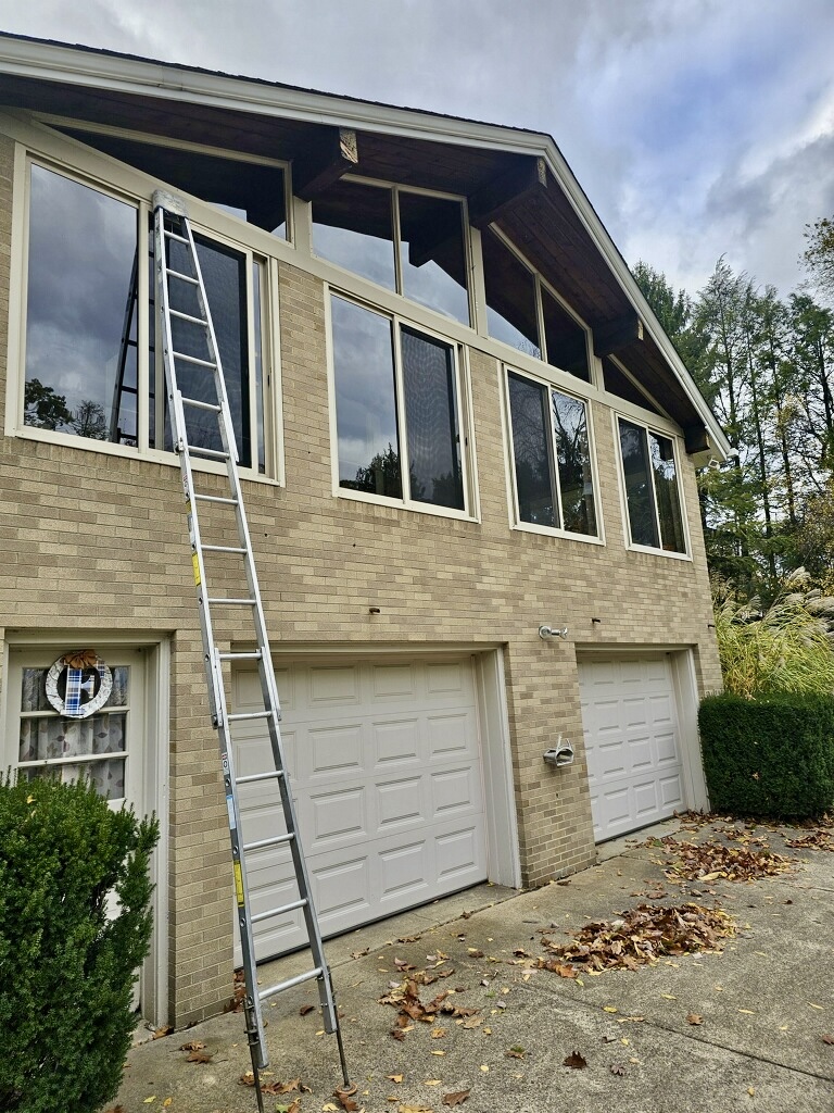 Homeowner inspecting clean windows